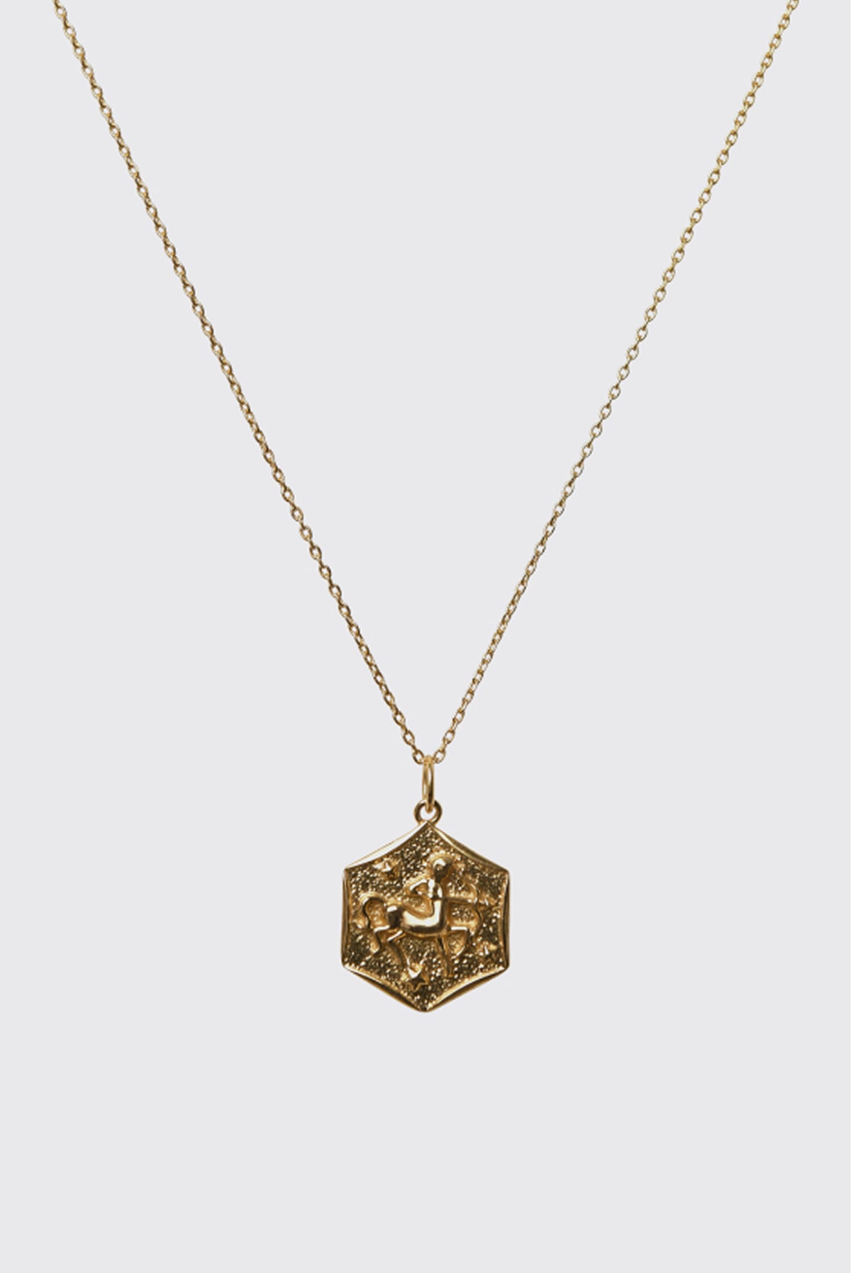 Zodiac - Aries features a gold vermeil fine chain and a hexagonal pendant with a raised, detailed design. Centered on a plain light background, this timeless necklace makes the perfect addition to any zodiac jewelry collection.