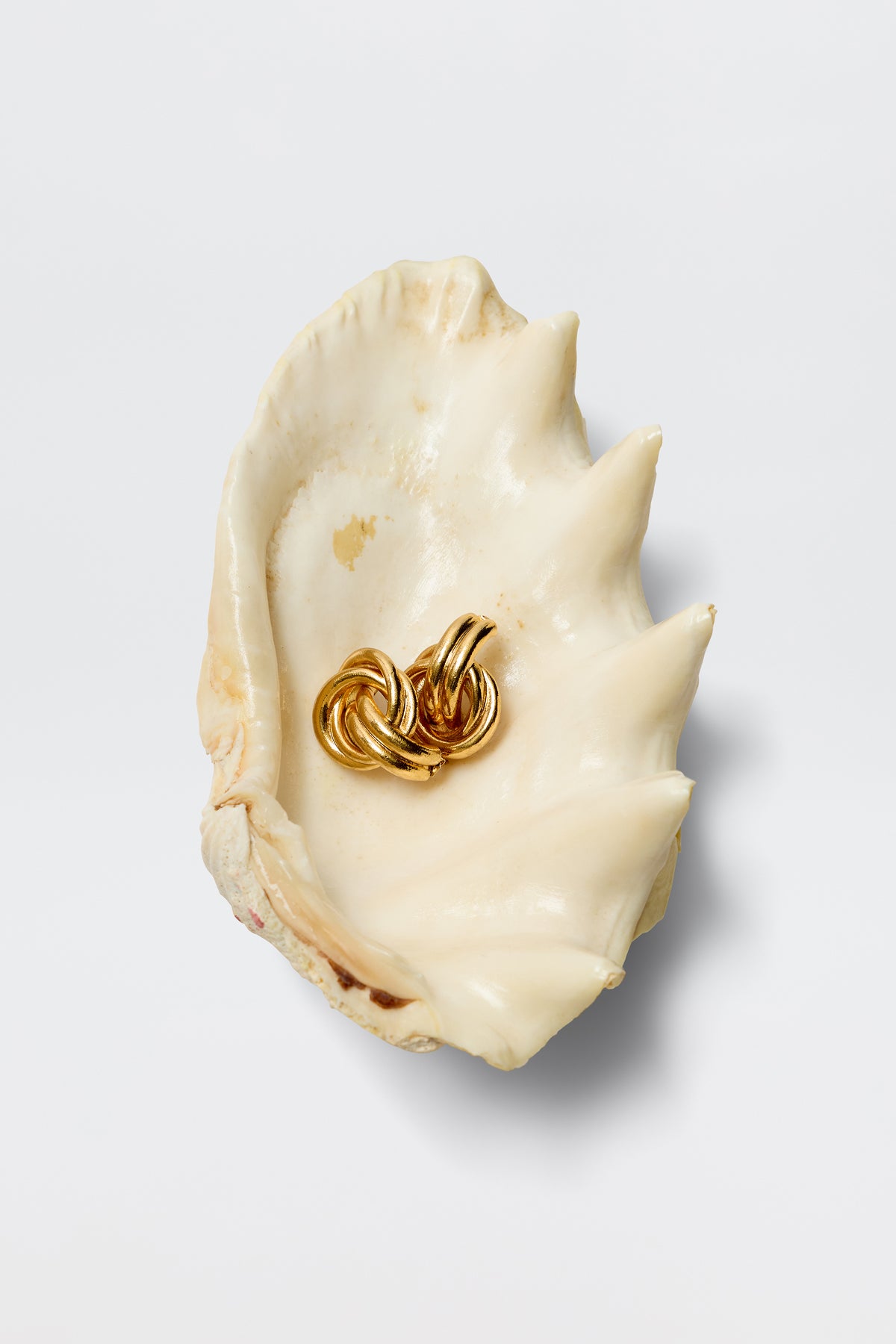 The Nolana - Gold earrings, crafted in gold-plated brass, rest inside a large cream-colored, ridged seashell on a white background, exuding subtle vintage glamour.