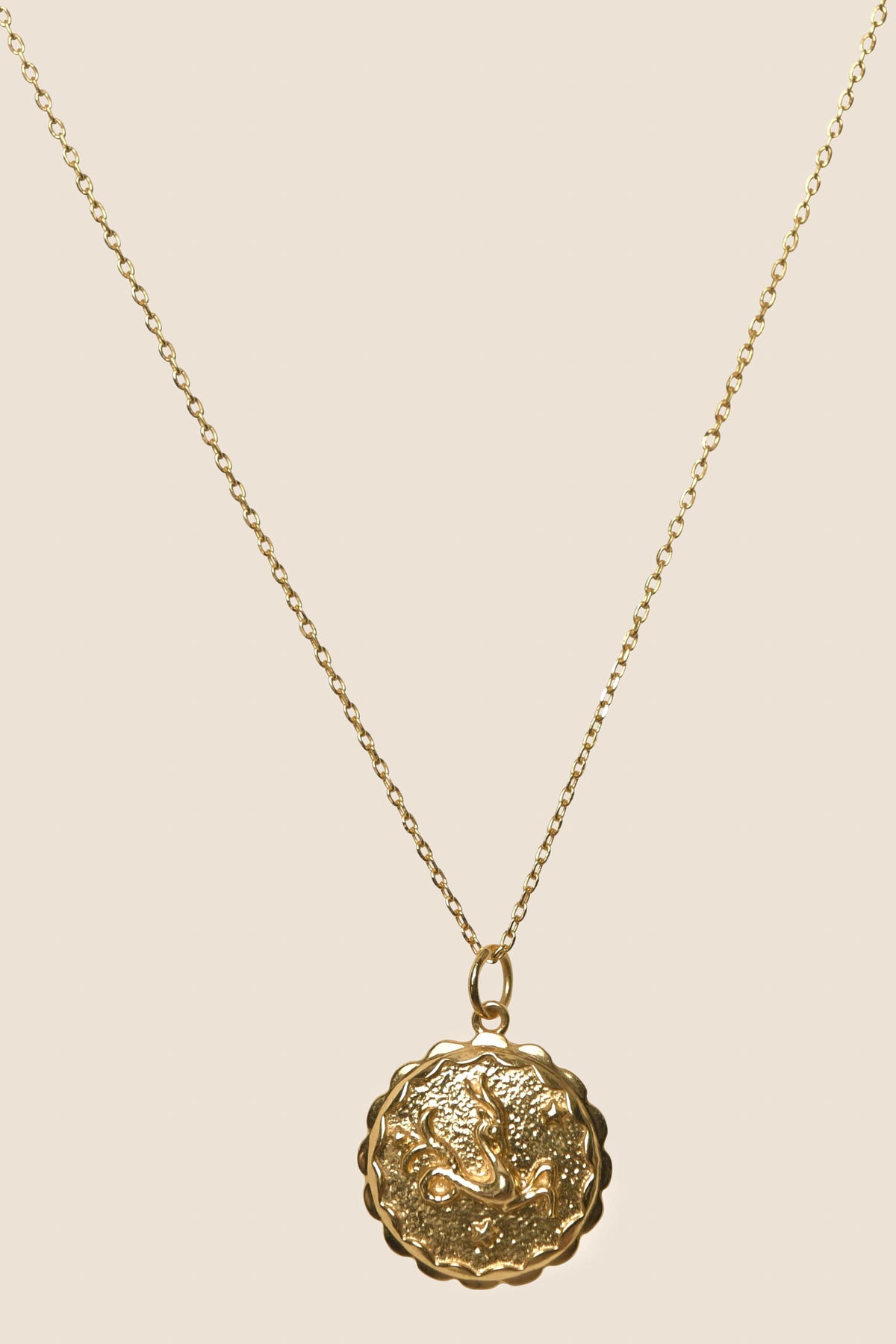 A gold vermeil necklace with a thin chain and a round, textured pendant featuring a raised Capricorn design, shown against a plain beige background. Perfect for fans of unique Zodiac necklaces.