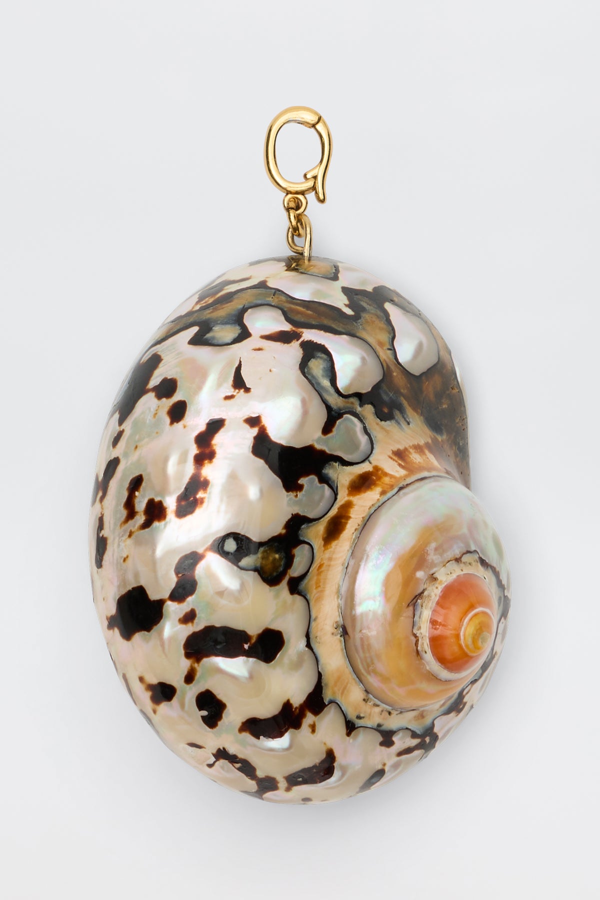 A polished, patterned shell with dark and light patches and a swirling center is attached to a gold clasp at the top, perfect for wearing as a necklace pendant—an exquisite Elira - Gold charm reminiscent of treasures found at antique fairs.