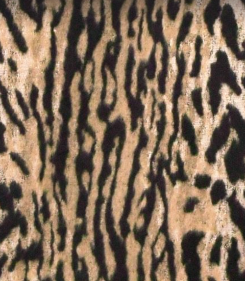 Pattern Image