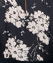 Pattern Image