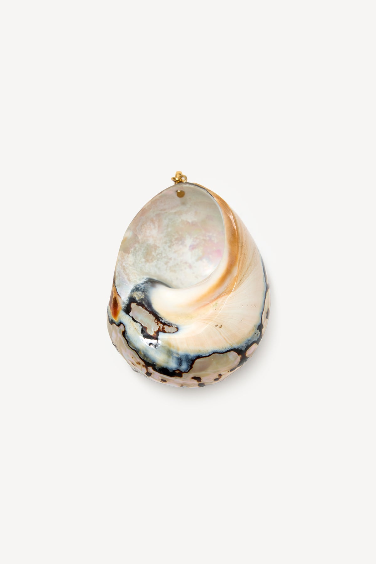 Certainly! Here’s a rewritten version of the sentence incorporating the product name: The Elira - Gold necklace features a single iridescent seashell pendant with a gold loop at the top, showcasing exquisite natural swirls of cream, beige, black, and subtle hints of blue—reminiscent of rare finds at antique fairs—set against a plain white background.